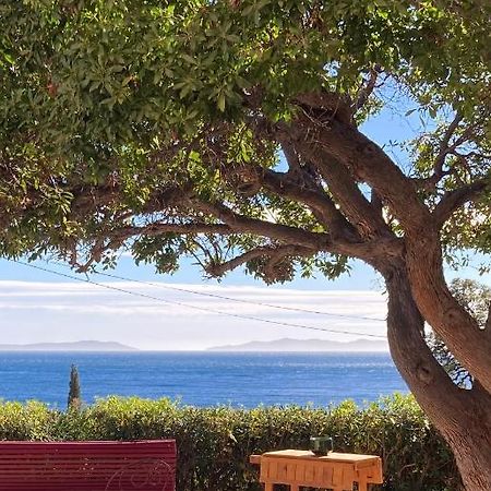 Bed and Breakfast L'Arbousier Реоль-Канадель-сюр-Мер Екстер'єр фото